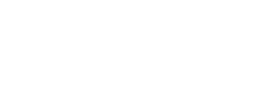 Logo Drip Feed Media PNG WIT